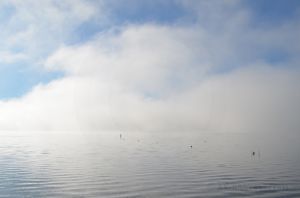 JKW_3761web Fog on the Water.jpg